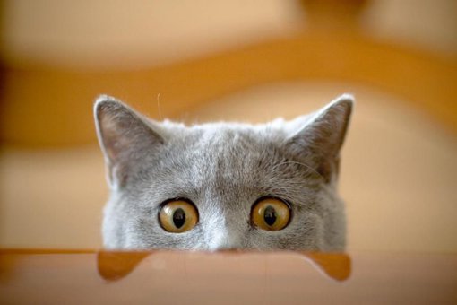 Биткоин-опционы почти на триллион долларов истекают в следующую пятницу: время волноваться? 