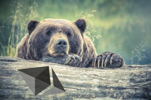 История показывает, что Ethereum находится на грани жестокой 6-месячной коррекции