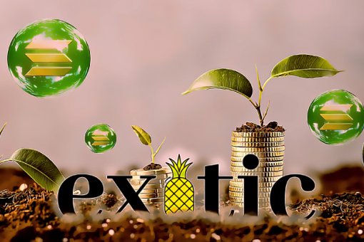 Exotic Markets привлек 5 миллионов долларов в рамках частной продажи токенов
