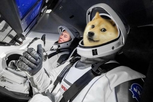 На луну: цена Dogecoin фиксирует двузначный прирост 