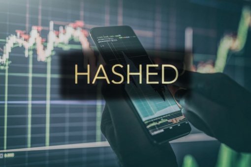 Корейская фирма Hashed находится под налоговым расследованием NTS