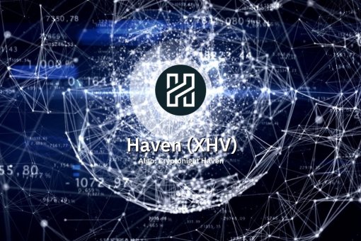 Haven Protocol обновил план действий на 1 квартал 2021 года