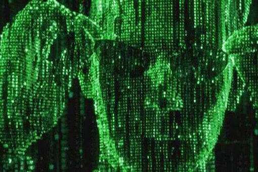 Росфинмониторинг будет анализировать криптовалютные транзакции с помощью ИИ