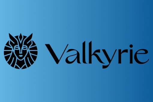 Valkyrie Investments уволила около 30% своих сотрудников