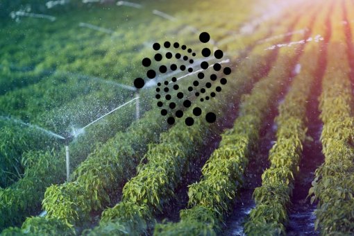 Земля Гессен полагается на IOTA Tangle для создания «IOTAqua»