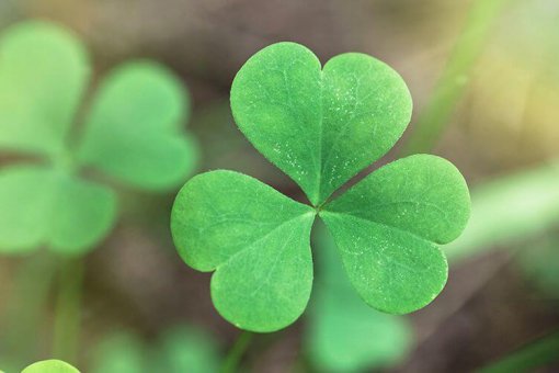 3 причины, почему аналитики настроены оптимистично в отношении биткоинов