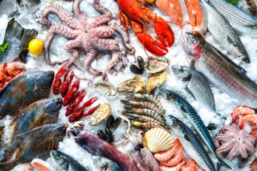 KnowSeafood внедряет VeChain ToolChain для повышения прозрачности
