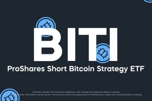 ProShares Short Bitcoin Strategy ETF (BITI) затмил конкурентов ростом капитала на 300%