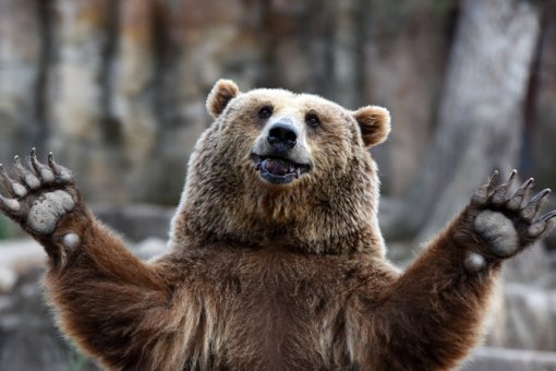 Статистика: биткоин упадёт до 6,000 долларов и ниже, если медведи захватят контроль