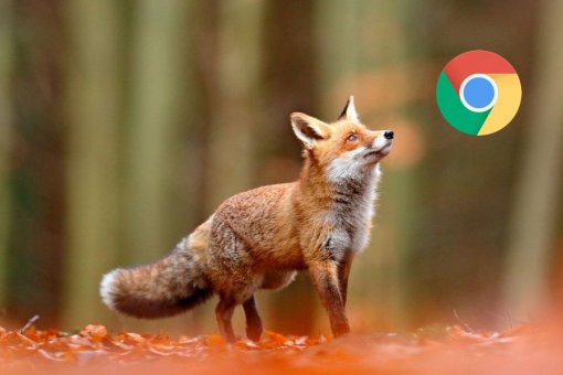 MetaMask Swaps доступен для Chrome