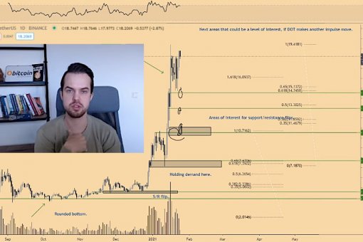 Криптоаналитик: «Polkadot, Cardano и другие альткоины превзойдут воображение инвесторов в следующем году»