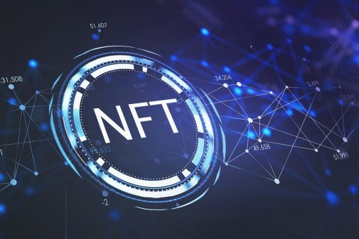 Проект Tokenpuss NFT направляет все усилия на поддержку умирающего вида-утконоса