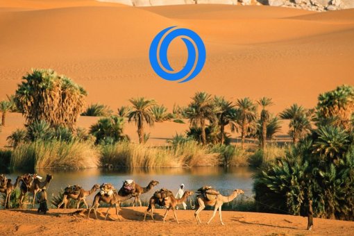 Oasis Network запустила основную сеть для «конфиденциальных вычислений»