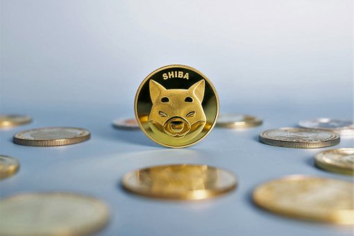 Объем торгов «подтверждает» скачок цен на токен SHIB.