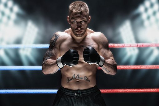 VeChain становится первым официальным блокчейн-партнером уровня 1 UFC