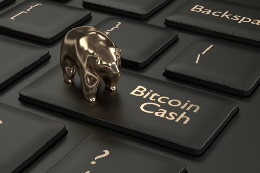 Bitcoin Cash в руках медведей: существует вероятность пробоя ниже 225 долларов