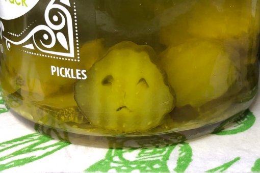 Pickle Finance: «Мы не будем выпускать токены долговых расписок»