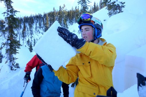 Валидатор подсети Avalanche осуществляет проверку блока.