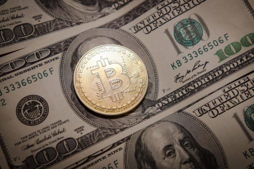 Сын биткоин-оппонента Питера Шиффа инвестирует все свои активы в биткоин, за это его отец хочет лишить его наследства