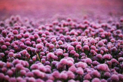 Сообщество Polkadot предлагает увеличить количество валидаторов до 599 Сообщество Polkadot предлагает увеличить количество валидаторов до 599