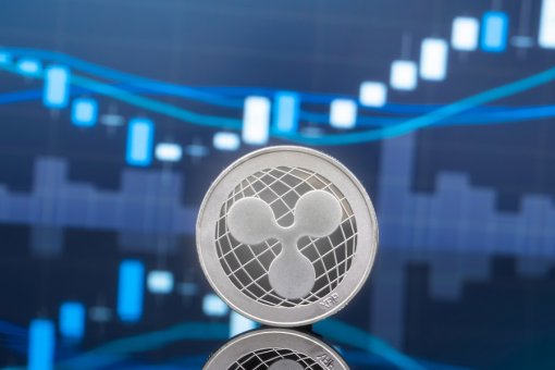 XRP возглавил ноябрьский рост криптовалюты с приростом 169%