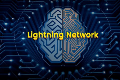 Сеть "Lightning Network" опередила "Bitcoin Cash" по количеству нод