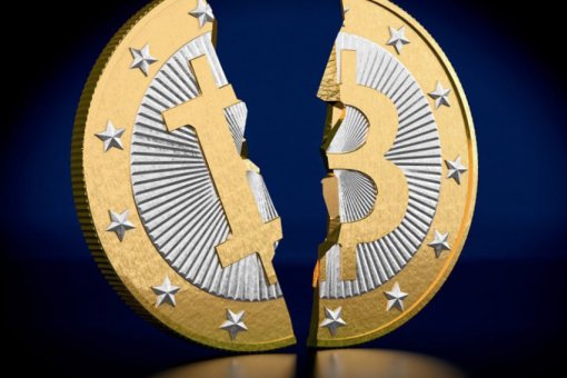 За последний год на рынке появилось более 40 форков биткоина