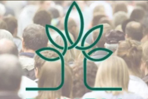 ВЦИОМ задействует блокчейн при проведении экзитполов