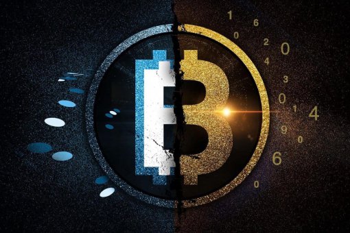 Российские эксперты рассказали о перспективах Bitcoin SV и BCH 