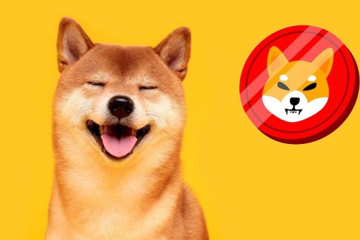 Shiba Inu запускает бета-версию DAO, чтобы дать пользователям больше полномочий над криптопроектами