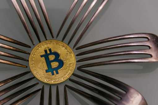 Сторонники Bitcoin Cash: биткоин бесполезен, он упадет до нуля