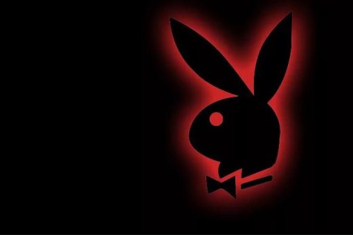 Зрители "Playboy TV" смогут оплачивать эксклюзивный контент с помощью криптовалют