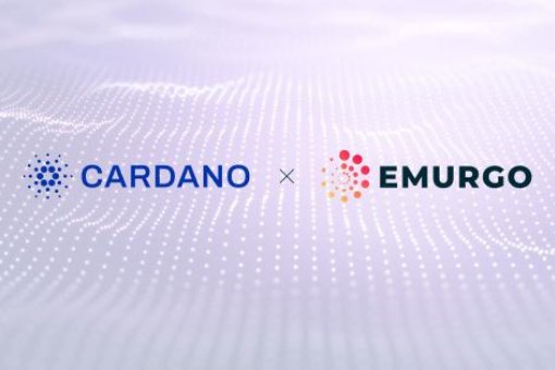 Emurgo инвестирует более 200 миллионов долларов в стимулирование экосистемы