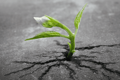 Этот индикатор предполагает, что в ближайшее время биткоин ожидает прорыв