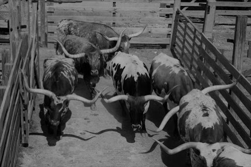 Ключевой индикатор показывает, что биткоин может быть на пороге бычьего рынка