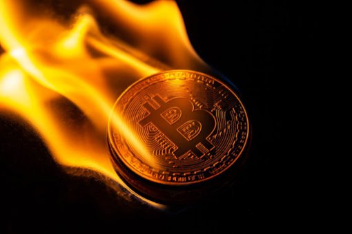 Сторонник Bitcoin SV утверждает, что биткоин не доживёт до следующего халвинга