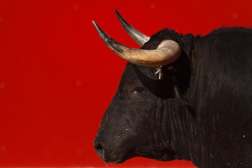 Биткоин подскочил выше 10,000 долларов, готовясь к следующему бычьему циклу: и вот каким он может быть