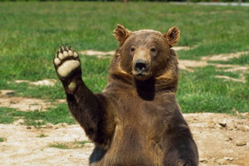 Биткоин готов попрощаться с 10,000 долларов? 