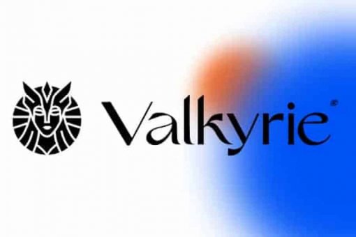 Инвесторы добавляют 74 миллиона долларов в криптовалютные трасты Valkyrie
