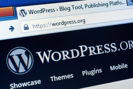 Разработчики WordPress анонсировали выпуск блокчейн-платформы для СМИ 