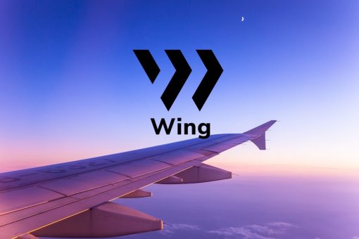 Команда разработчиков Wing Finance провела комплексный аудит безопасности