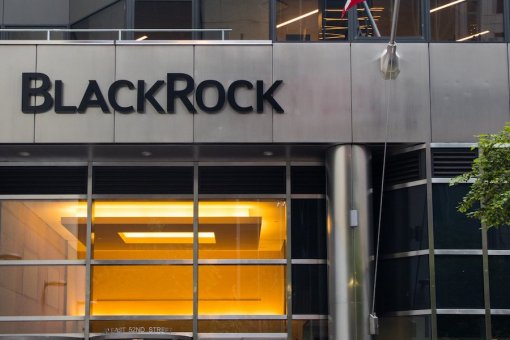 Директор по инвестициям BlackRock: «Биткойн может в значительной степени заменить золото»