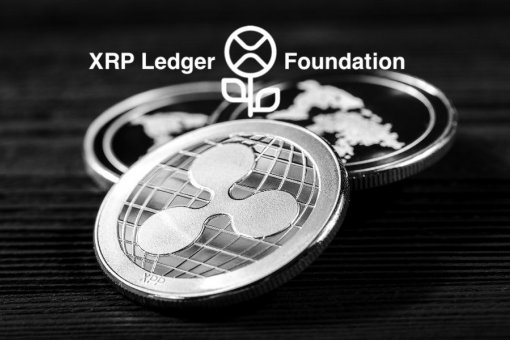 XRP Ledger Foundation опровергает слухи: Ripple не бросит XRP