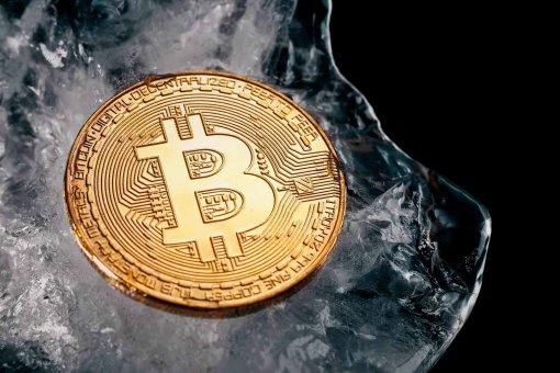 Том Ли заявил о завершении «криптозимы» и возвращении биткоина 