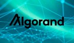 Algorand возглавляет инвестиционный раунд в размере 22 миллионов долларов в Koibanx