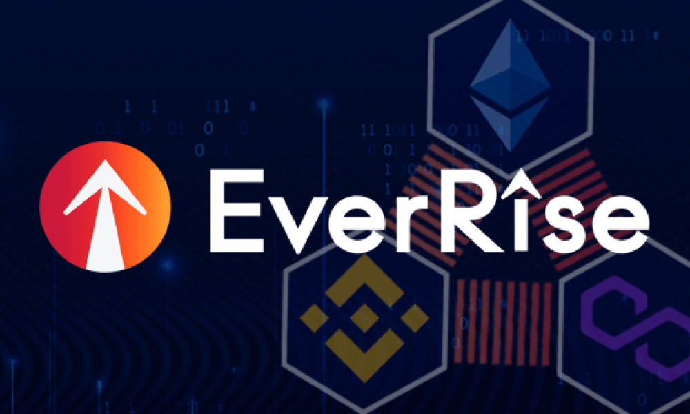 EverRise обновил протоколы и запустил их на трех блокчейнах одновременно