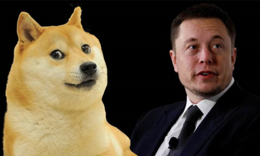 Мерчендайз Tesla теперь можно приобрести за Dogecoin