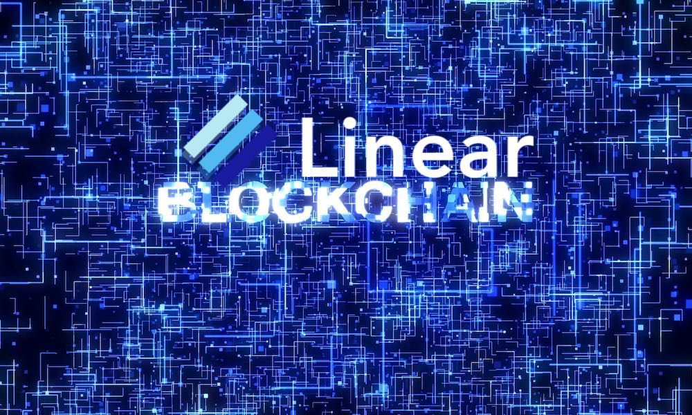 Cryptocurrencies and network effects Cryptocurrencies and network effects good masters bets