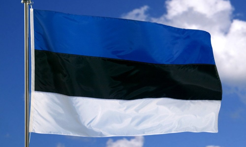 Эстония предлагает поделиться криптоопытом с США для выявления лучших практик в области цифровых активов