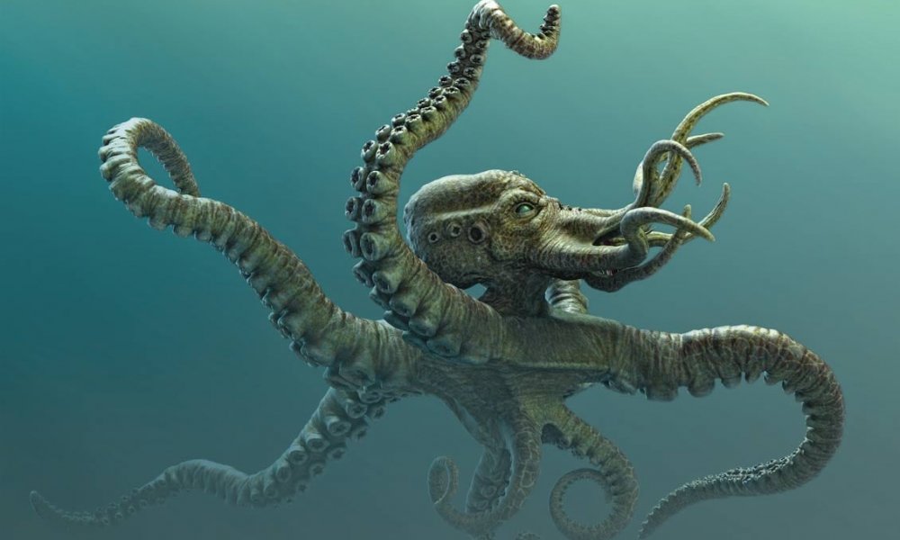 Что за kraken trend перевод на русский
